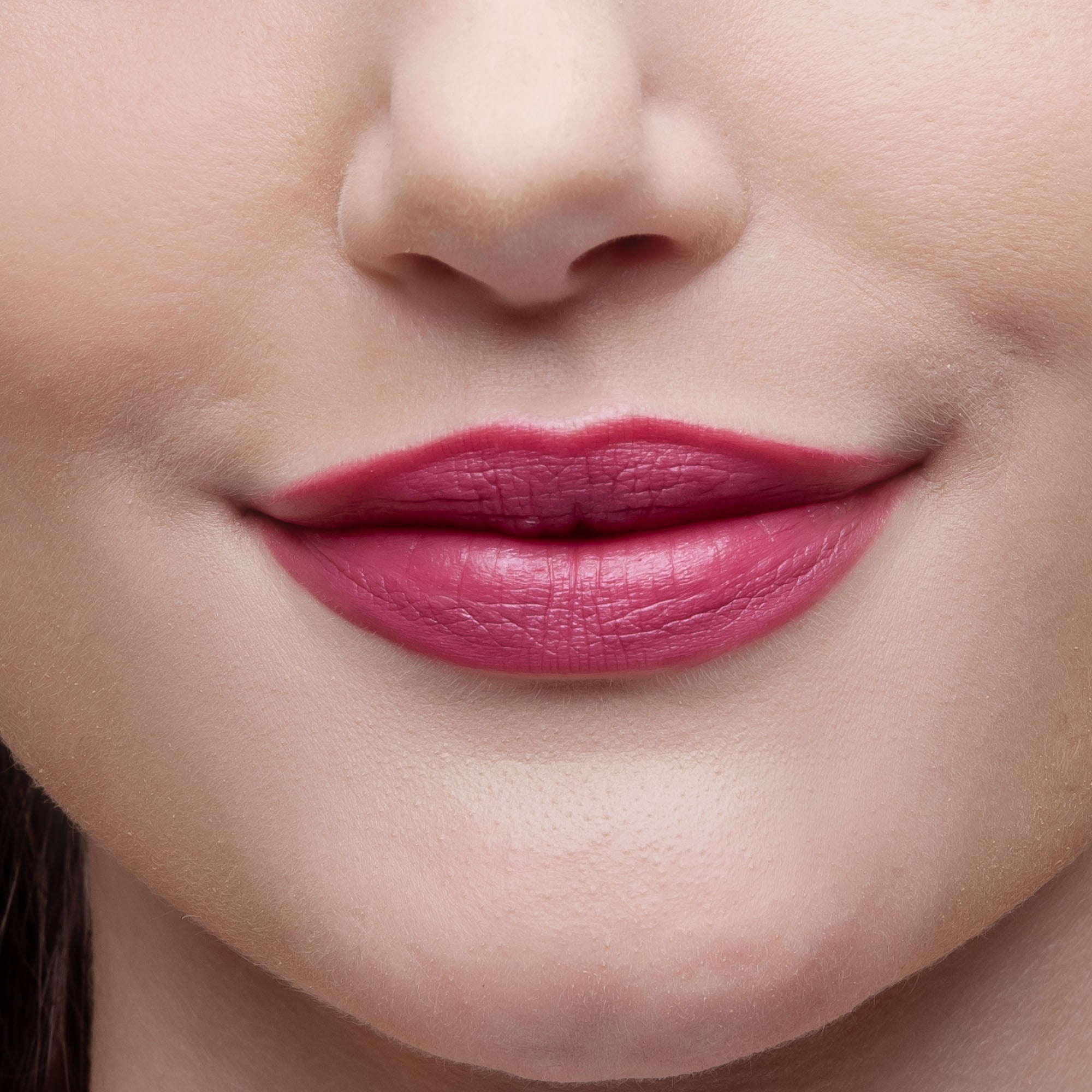 Image of Succulent_L